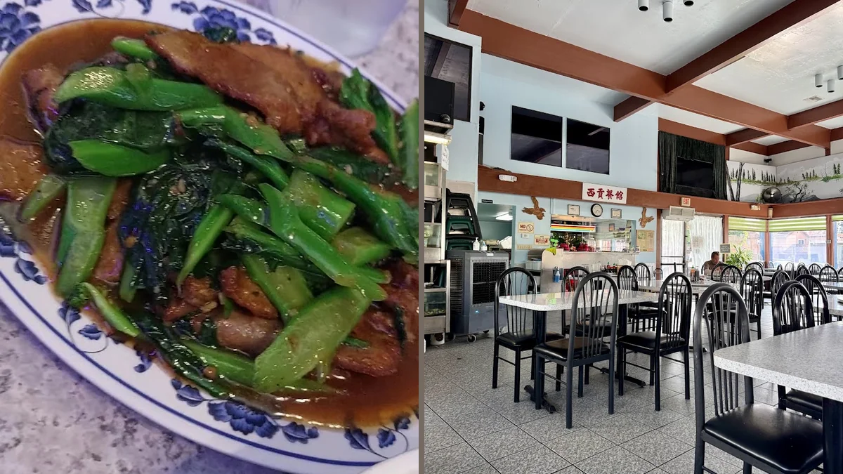 Quiet restaurant space with a relaxed lunch feel.